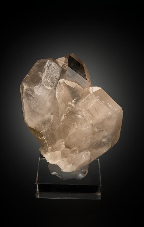 QUARTZ (Japan-law twin)